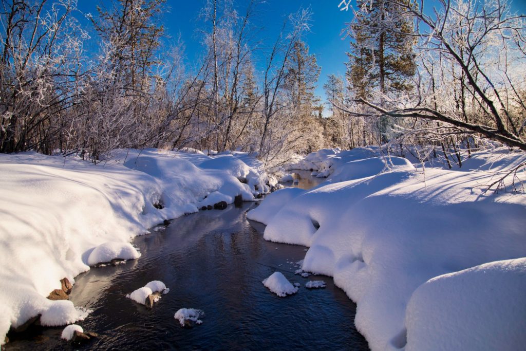 Kevattalvinen maisema. Joki avoimena jäästä, ympärillä olevat joenpenkat paksun lumen peitossa. Sinitaivas ja aurinko paistaa.